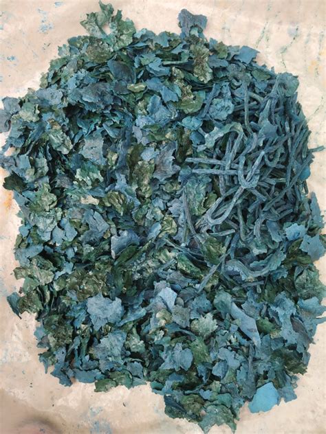 Contamination Free Spirulina Flakes at Rs 950/kg | Spirulina Algae ...
