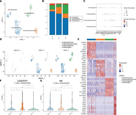 Frontiers Single Cell Rna Sequencing Reveals Tumor Immune