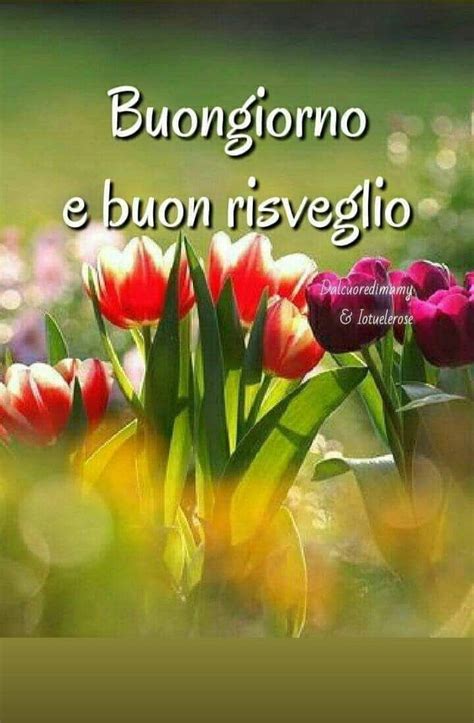 Pin Su Good Morning Buongiorno Bom Dia Buongiorno Buongiorno