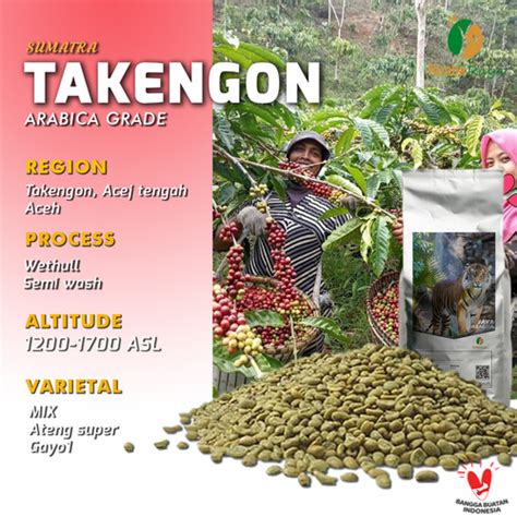 Promo Arabica Green Bean Gayo Takengon Wethull Process 1kg Jakarta