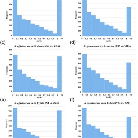 Distribution Of Selection Pressure On Orthologous Genes Between