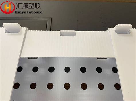 Waterproof Fruits Vegetables Coroplast Packaging Box Top 5 Coroplast