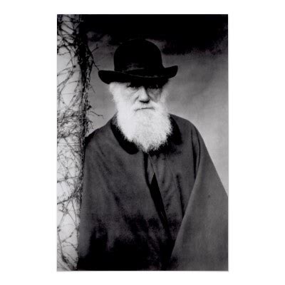 Portrait Of Charles Darwin Poster Zazzle Julia Margaret