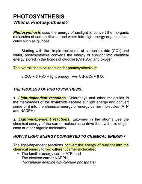 Solution Photosynthesis Studypool