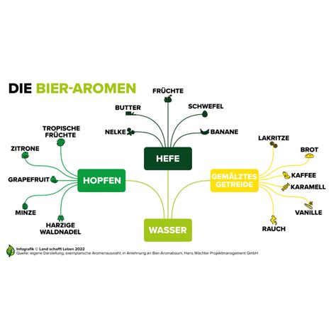 Das Bier Tasting für zu Hause Frisch verzapft