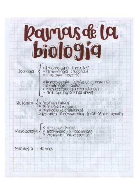 Solution Biolog A Bachillerato Ramas De La Biolog A Pt Studypool