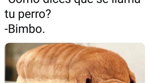 Los memes más divertidos de la semana Imágenes