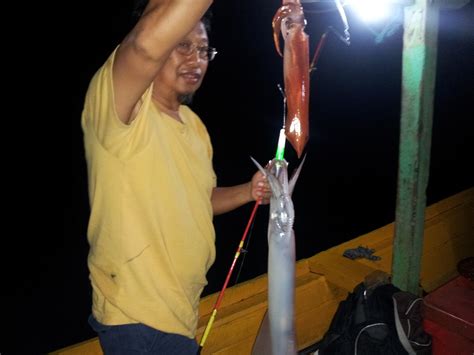 Pakej Candat Sotong Terengganu