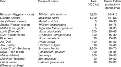 Fodder Crops List