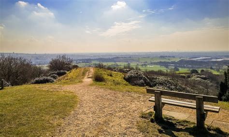 Tandle Hill Country Park Royton Oldham Baldhiker