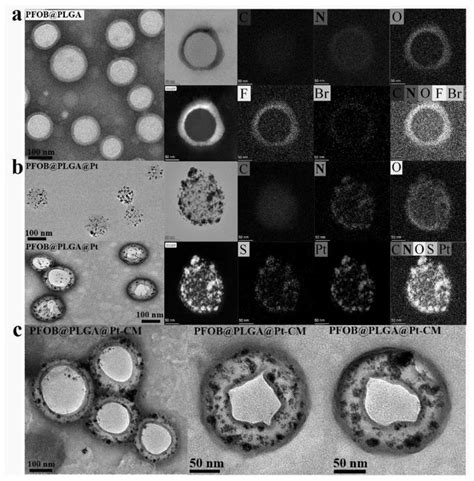 Bionic Drug Loading Nano System Combining Cell Membrane Antagonism With