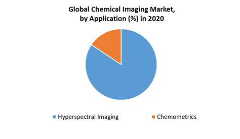 Chemical Imaging Market: Global Market Analysis and Future Potential