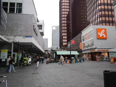 Focus On Rotterdam Codata