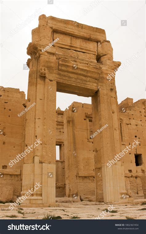 Palmyrene Images, Stock Photos & Vectors | Shutterstock