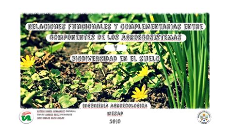 Biodiversidad En El Suelo By Nestor Daniel Hernandez Carvajal On Prezi