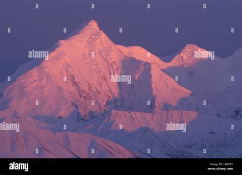 Alpenglow On Mt Brooks Denali National Park And Preserve Alaska Stock