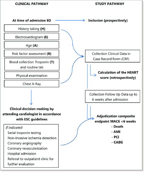 Clinical Pathway And Study Pathway Ami Indicates Acute Myocardial