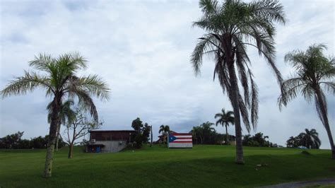 Hacienda El Jibarito San Sebastian Puerto Rico Lifetransplanet