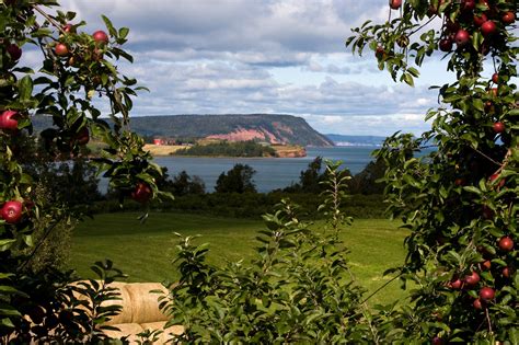 Apple Orchard and Landscape in Nova Scotia, Canada image - Free stock photo - Public Domain ...