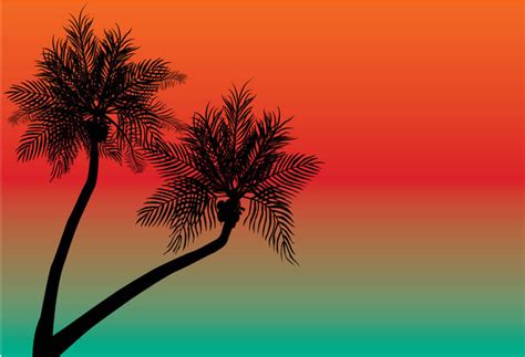 Coconut Trees Free Stock Vectors