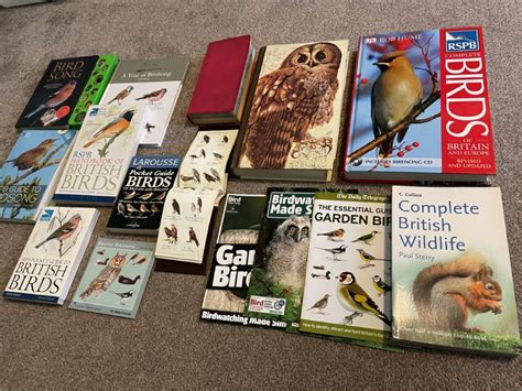 Birding Basics Bird Guides From Pockets To Encyclopedias Bird