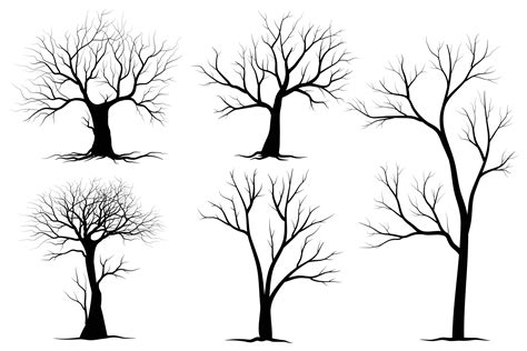 Black Branch Tree Or Naked Trees Silhouettes Set Hand Drawn Isolated Illustrations