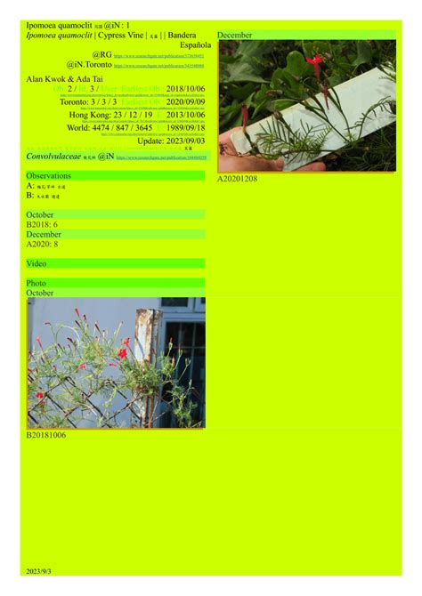 (PDF) Ipomoea quamoclit 蔦蘿 @iN
