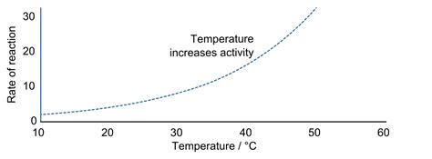 Uncovering The Science Behind Reaction Rates In Chemical Reactions