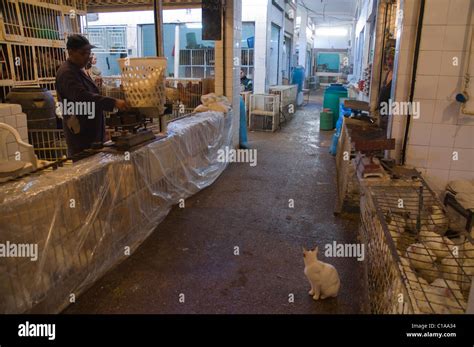 Poultry Stalls Souq Al Had Market Agadir The Souss Southern Morocco