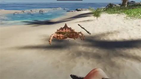 Stranded Deep Comment tuer le crabe géant ProGuideAH