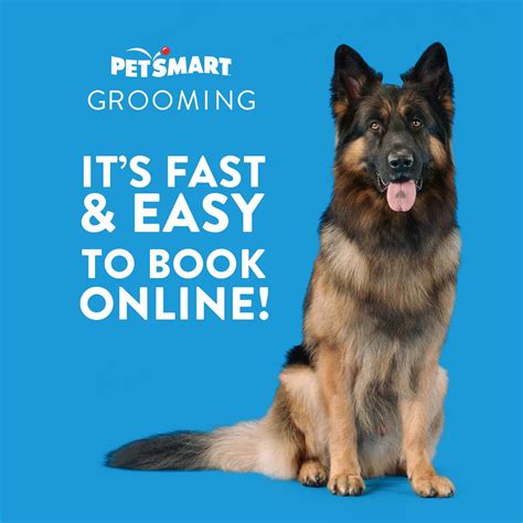 Petsmart Near Me With Grooming Petwarehouse