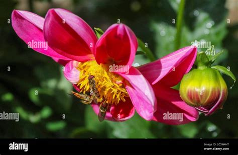 Magheralin County Armagh Northern Ireland 05 July 2020 UK Weather