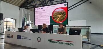 La Bassa Romagna A Ravenna Per Presentare I Progetti Dedicati Alla