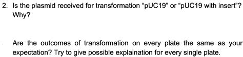 Solved 2. Is the plasmid received for transformation "pUC19" | Chegg.com