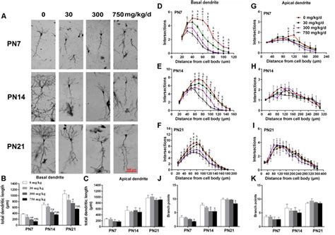 Frontiers Exposure To Di 2 Ethylhexyl Phthalate During Perinatal