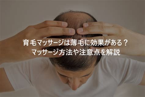 育毛マッサージは薄毛に効果がある？マッサージ方法や注意点を解説 スカルプd コラム スカルプd公式サイト アンファー