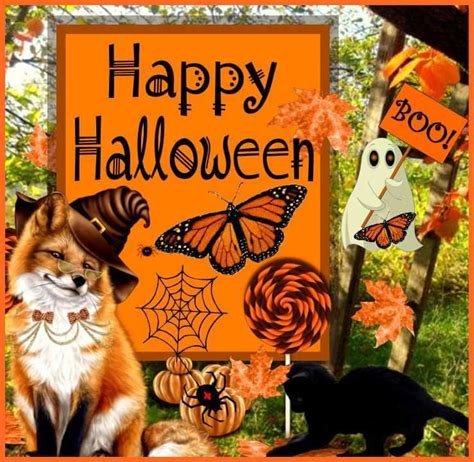 Happy Halloween Fox And Black Cat Pictures Photos And Images For