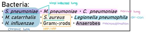 L18 Microbiology Of Lower Respiratory Tract Flashcards Quizlet