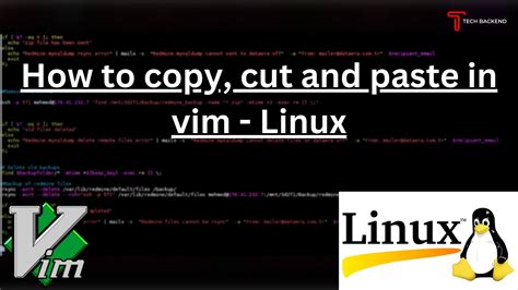 How To Copy Cut And Paste In Vim Editor March Tech Backend