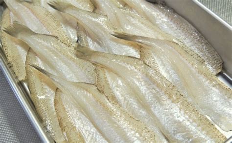 冷蔵庫で『魚の干物』を作る方法 日持ちさせる保存の仕方も解説 Tsurinews