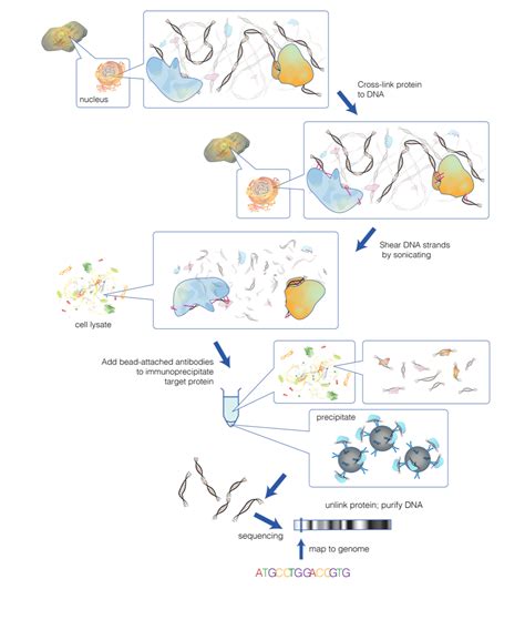 Glen Reports Glen Research