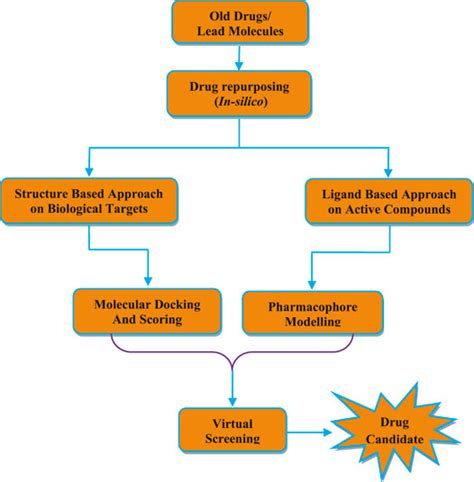 Frontiers Drug Repurposing Strategy Drs Emerging Approach To