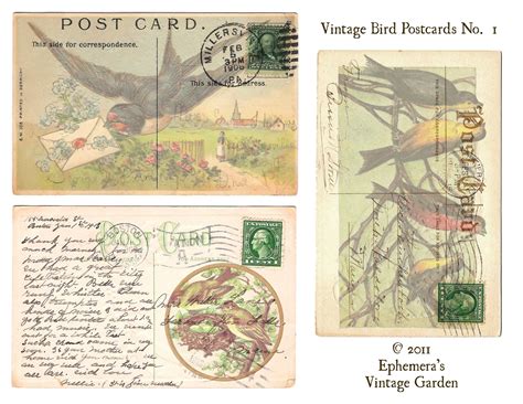 Vintage Birds Vintage Ephemera Vintage Graphics Vintage Labels