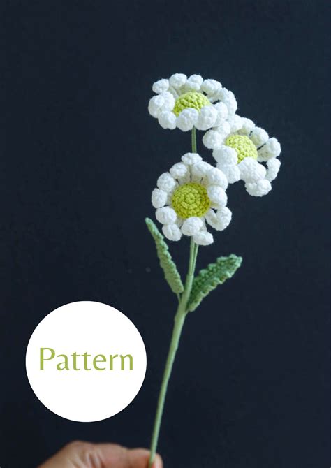 Pdf Pattern Crochet Wild Daisy Flower Hookok