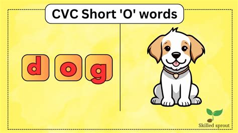 Letter O Short Vowel O Cvc Words For Kindergarten Cvc Words Blending Youtube