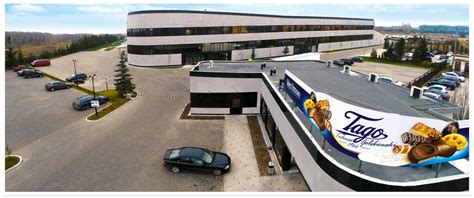 Producent ciastek francuskich z czekoladą kruchych na wagę luzem