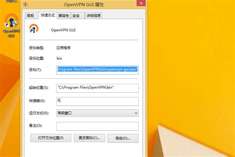 在windows 8上设置openvpn连接 Securevpn