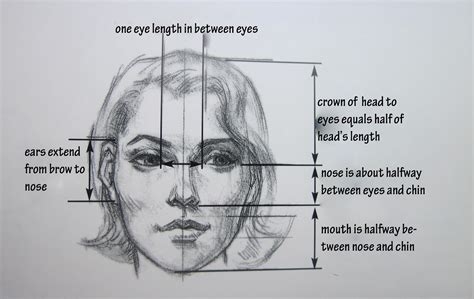 Sketching A Face Basic Proportions