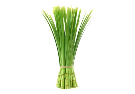 Lemongrass Isolated Transparent Background Cutout 49735847 Png