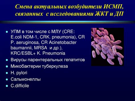 Факторы, обуславливающие актуальность профилактики ИСМП при ...